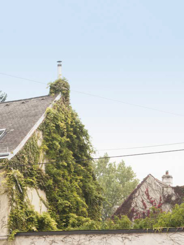 Foto auf dicht bewachsene Häuserfronten im 18. Bezirk